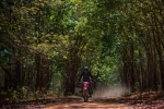 Day 8: (24Th Oct, 2026 ) Hoi An - Mang Den (APPROX 250KM) (B/L/D)