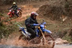 Day 5: (19Th Sept, 2026 ) MU CANG CHAI - SAPA (160KM/ APPROX. 5 HOURS) (B/L/D)