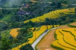 Day 4: (08th Sept, 2026) DIEN BIEN – LAI CHAU (120 KM / APPROX. 4 HOURS) (B/L/D)