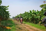 Day 7: (9Th July, 2026) THAC BA – HANOI (180 KM / APPROX. 5 HOURS) (B/L)