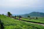 Day 2: (6th Sept 2027) Mai Chau – Phu Yen (190 Km | Approx. 6 Hours) (B/L/D)