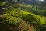 Day 3: Phu Yen - Nghia Lo (160km/approx. 6 Hours)  (B/L/D)
