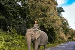 Day 5: Da Lat - Buon Ma Thuot (APPROX 200KM) (B/L/D)