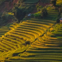 (15Th - 22Th Sept, 2026  ) Thrilling 8-Day Northwest Vietnam Motorcycle Adventure