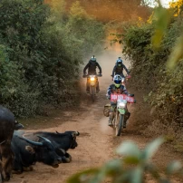 (15Th - 22Th Sept, 2026  ) Thrilling 8-Day Northwest Vietnam Motorcycle Adventure