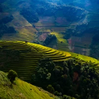 (3Rd–9Th June, 2026) 7-Day Motorcycle Adventure Through Northwest Vietnam'S Stunning Landscapes