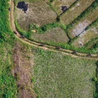 (12Nd–18Th Dec, 2026 ) 7-Day Northeast Vietnam Motorbike Adventure: Conquer Rugged Borders