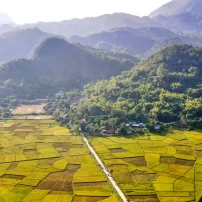 ( 2Nd -8Th Nov, 2026)  7 Days To Unveil Northwest Vietnam Motorcycle Tour 