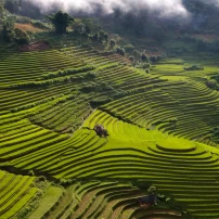 (3Rd–9Th June, 2026) 7-Day Motorcycle Adventure Through Northwest Vietnam'S Stunning Landscapes