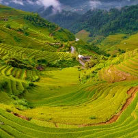 ( 2Nd -8Th Nov, 2026)  7 Days To Unveil Northwest Vietnam Motorcycle Tour 