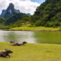 ( 2Nd -8Th Nov, 2026)  7 Days To Unveil Northwest Vietnam Motorcycle Tour 