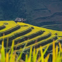 (12Th–23Rd July, 2026) 12-Day Vietnam Motorbike Tour: Mountains To Ha Long Bay