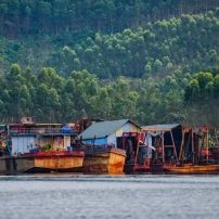 (20Th–26Th Feb 2027) Northwest Vietnam In Bloom: 7-Day Motorcycle Tour