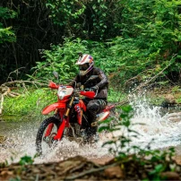 (13Th–19Th Feb 2027) 7-Day Northwest Vietnam Ride: Blossoms, Passes & Culture