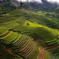 Ha Giang Loop: 7-Day Motorcycle Expedition In Vietnam'S Wild North
