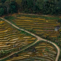 Tenere 700 Vietnam Expedition: 14 Days From The Northern Highlands To Saigon