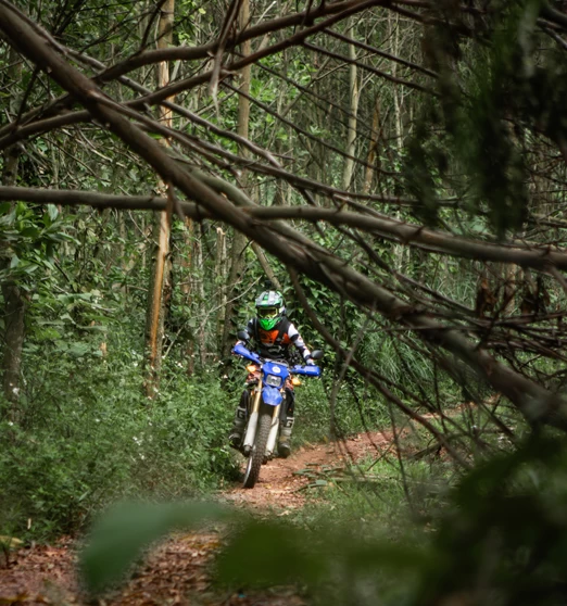 ( 11Th–17Th June, 2026 ) 7-Day Motorcycle Adventure To Discover Vietnam’s Majestic Northwest
