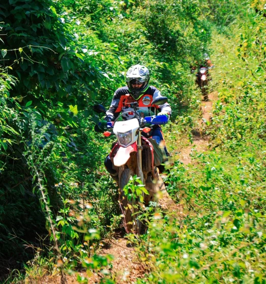 (15–21 Apr 2026) 7-Day Northeast Vietnam Motorbike Tour Guide