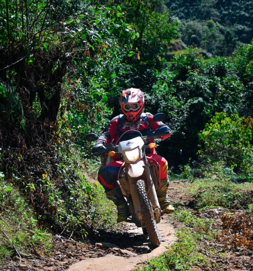 (12Th–23Rd July, 2026) 12-Day Vietnam Motorbike Tour: Mountains To Ha Long Bay