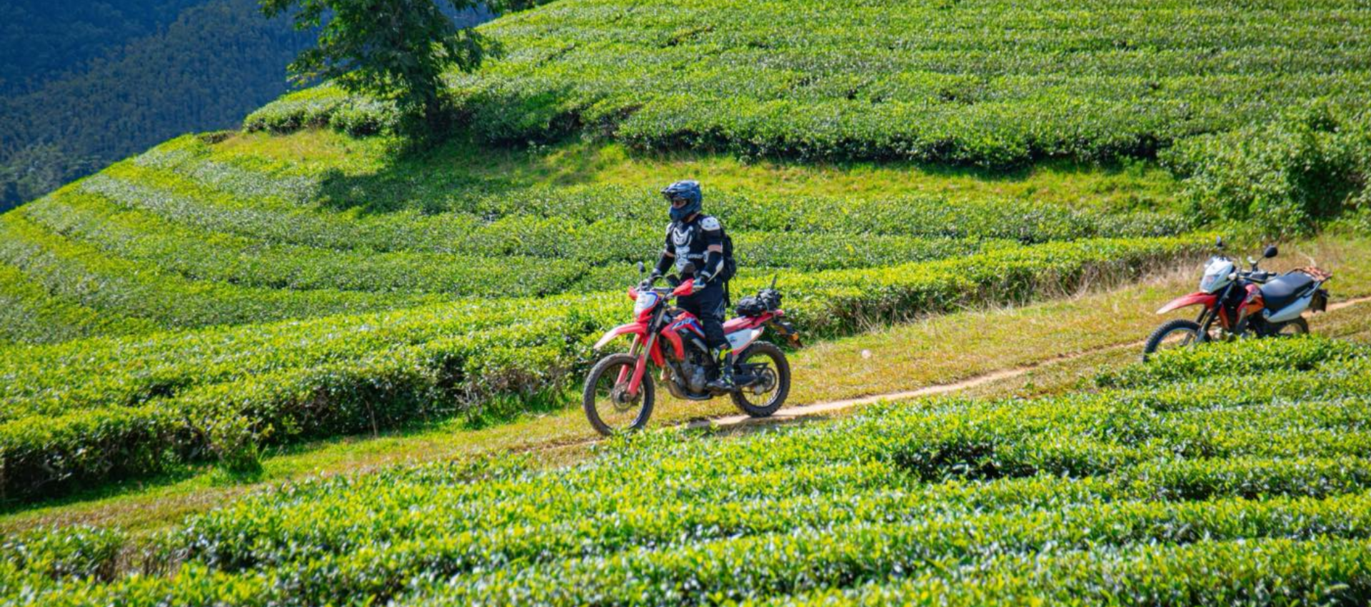 (3Rd – 9Th July, 2026) Epic 7-Day Northwest Vietnam Adventure: Conquer The Legendary Mountain Passes