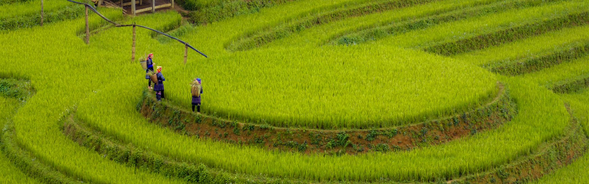 (12Nd – 22Nd September, 2026) Ride The Wild North: Epic 11-Day Northern Vietnam Motorbike Tour