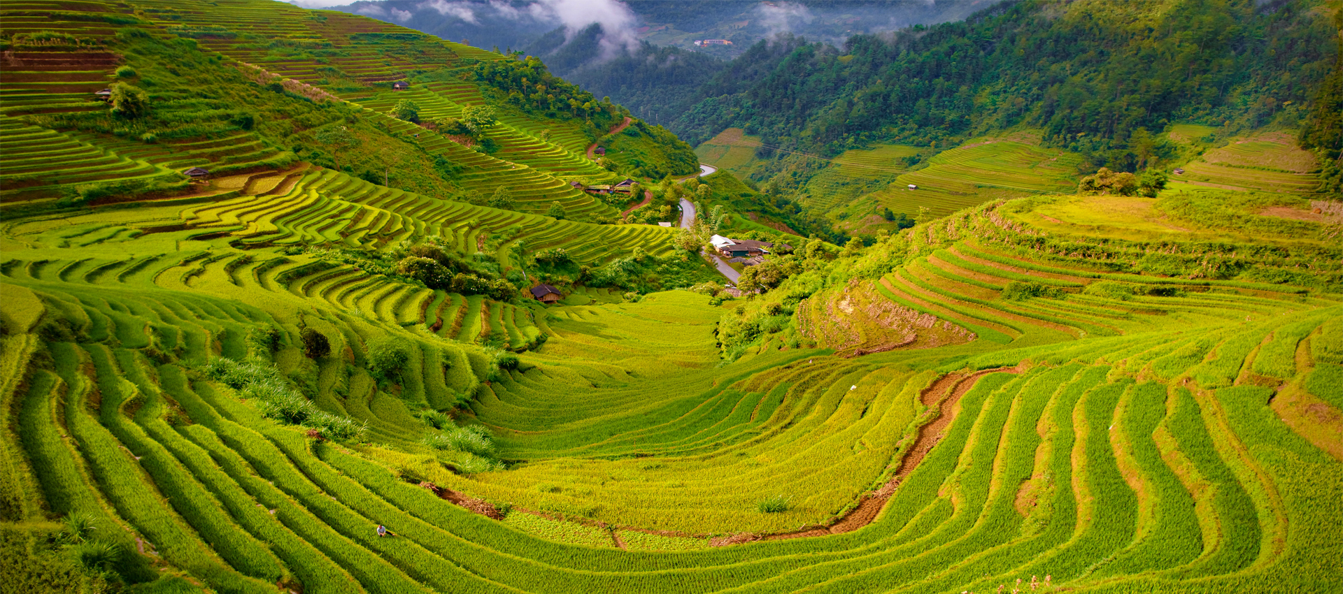 ( 2Nd -8Th Nov, 2026)  7 Days To Unveil Northwest Vietnam Motorcycle Tour 