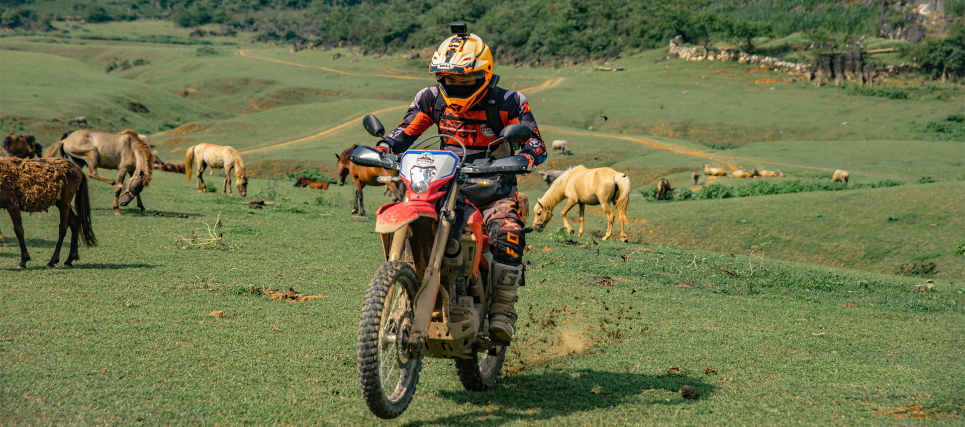 (12Nd -18Th Nov, 2026 ) Northwest Vietnam Expedition: 7-Day Motorcycle Adventure
