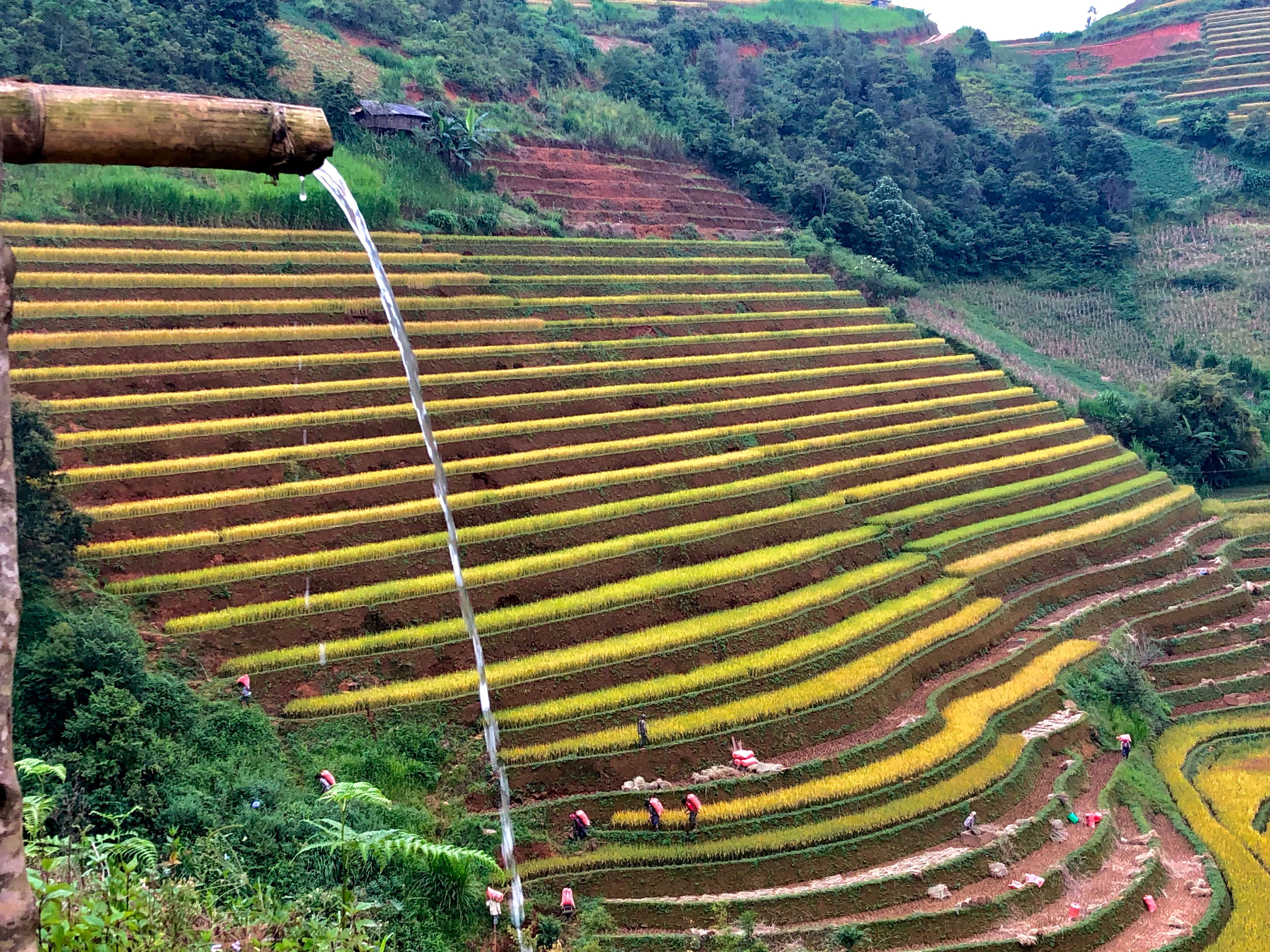 Vietnam Adventure Tour 3 Day Authentic Northwest To Mai Chau - Pu Luong 