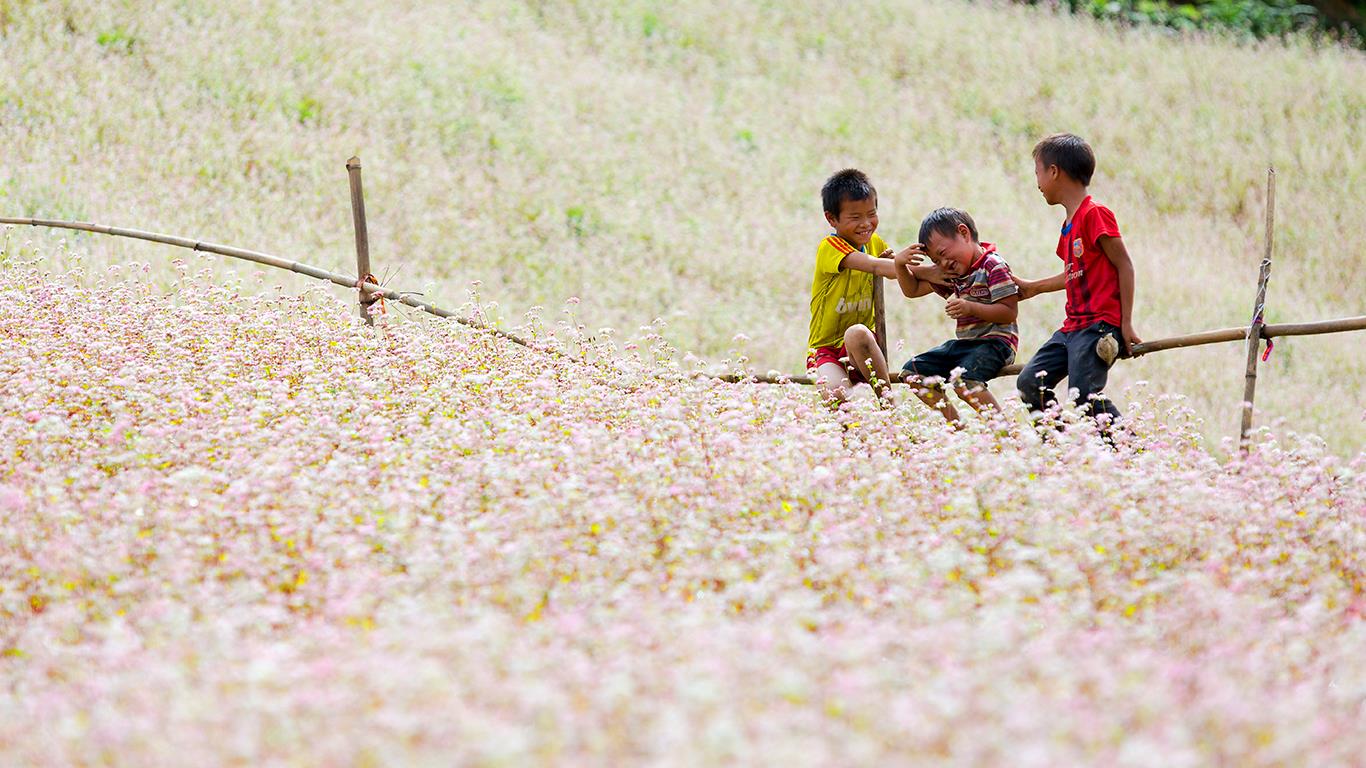 In Which Season Should You Visit Ha Giang?