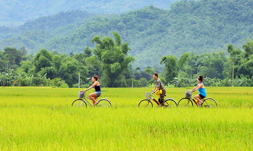 Pu Luong Nature Reserve Is A Great Destination For Nature Lovers 