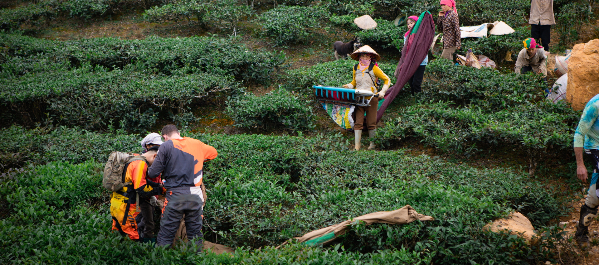 (23Rd February - 1St March, 2026) Conquer Northwest Vietnam: The Ultimate 7-Day Motorcycle Adventure