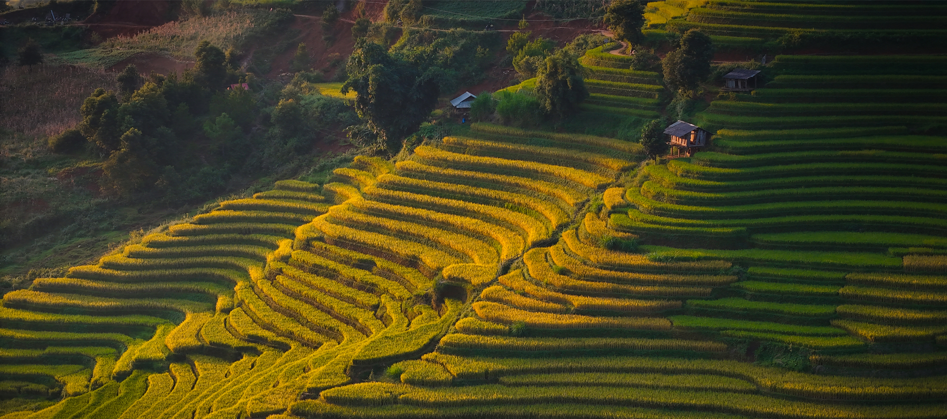 (15Th - 22Th Sept, 2026  ) Thrilling 8-Day Northwest Vietnam Motorcycle Adventure