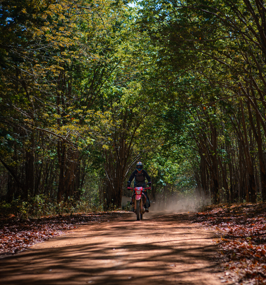 Day 8: (24Th Oct, 2026 ) Hoi An - Mang Den (APPROX 250KM) (B/L/D)