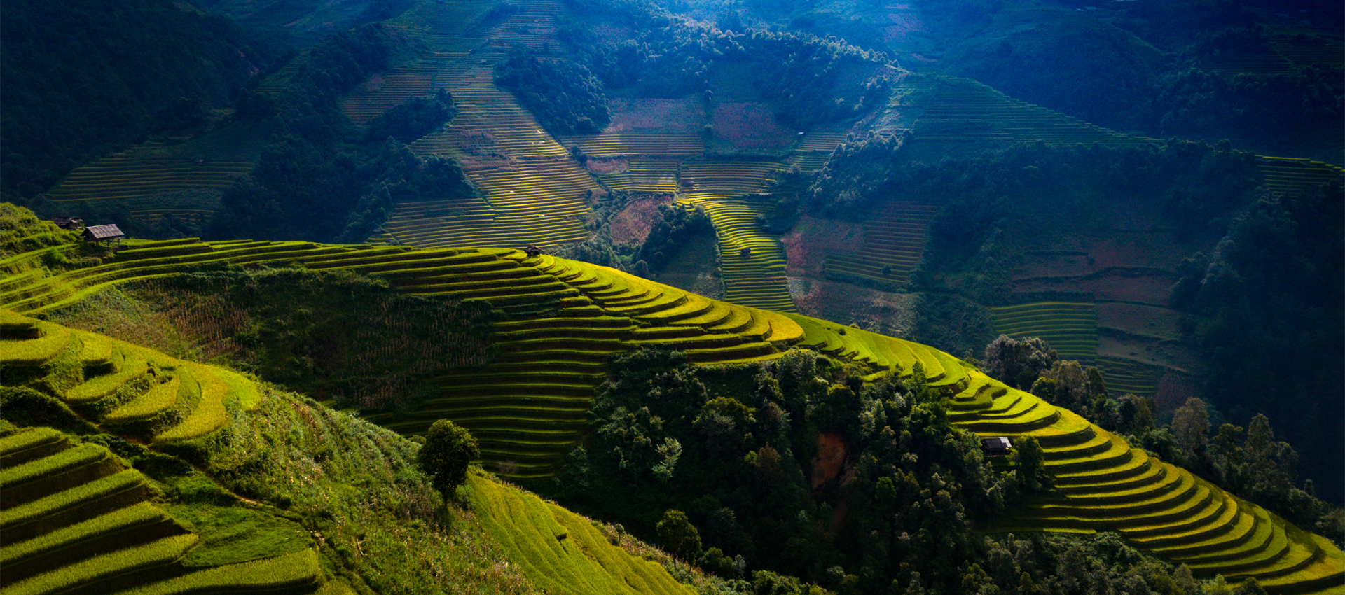 (3Rd–9Th June, 2026) 7-Day Motorcycle Adventure Through Northwest Vietnam'S Stunning Landscapes