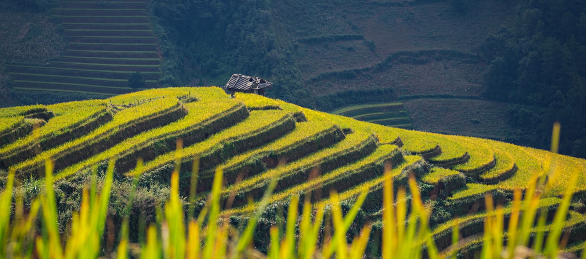 (12Th–23Rd July, 2026) 12-Day Vietnam Motorbike Tour: Mountains To Ha Long Bay