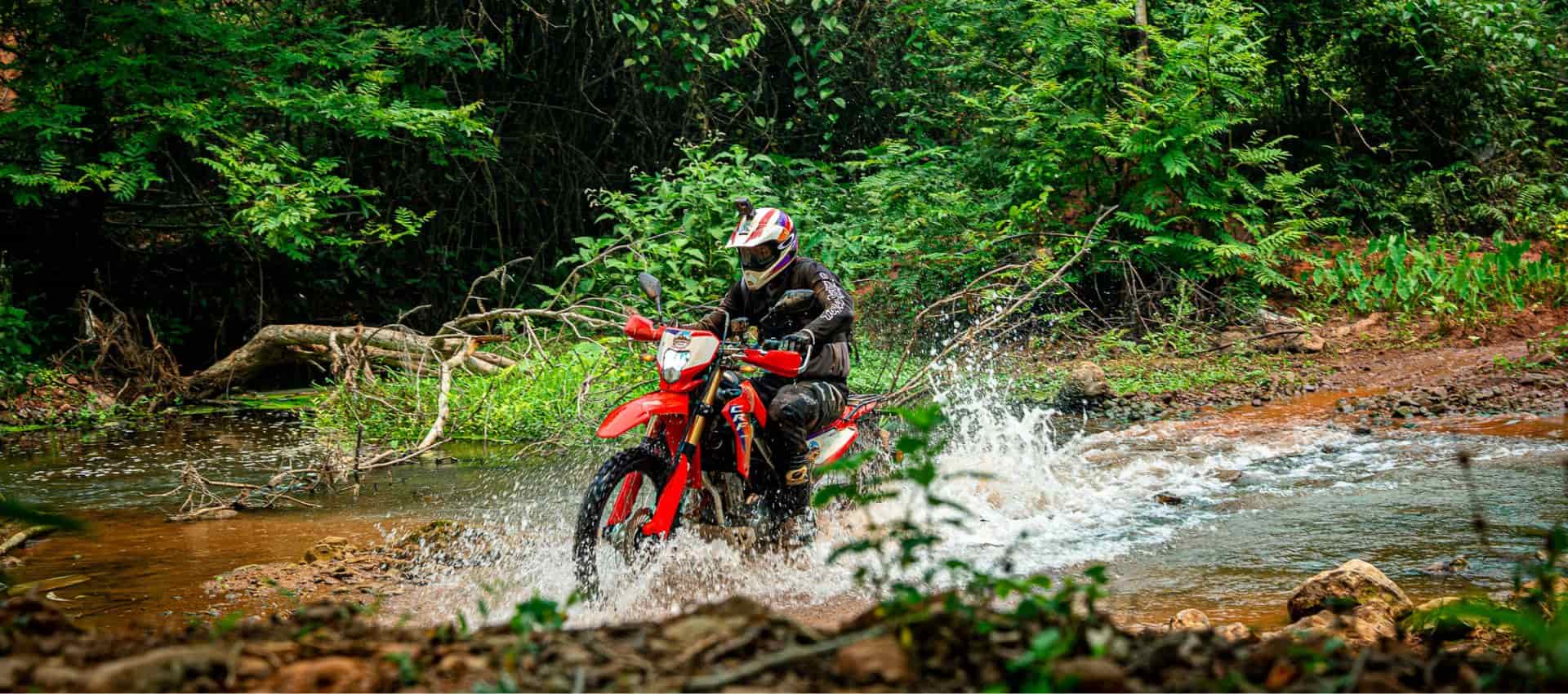 (13Th–19Th Feb 2027) 7-Day Northwest Vietnam Ride: Blossoms, Passes & Culture